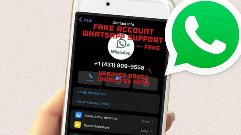 Vorsicht! Fake-Accounts als WhatsApp-Support unterwegs