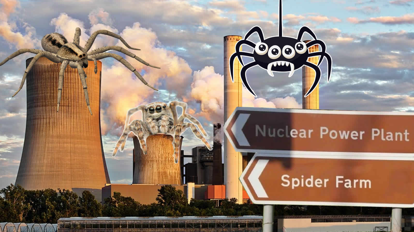 Steht etwa wirklich ein Atomkraftwerk neben einer Spinnenfarm?
