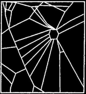 Das Netz einer Schlafmittel-Spinne