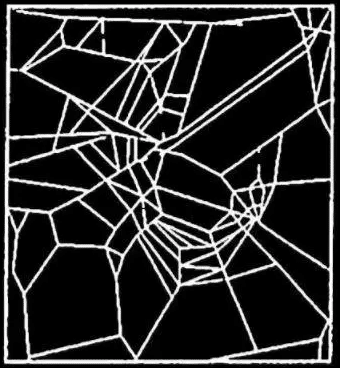Das Netz einer Koffein-Spinne