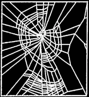 Das Netz einer Benzendrin-Spinne