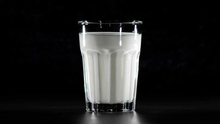 Weidemilch, Bio-Milch oder Heumilch – Wer kennt sich da noch aus?